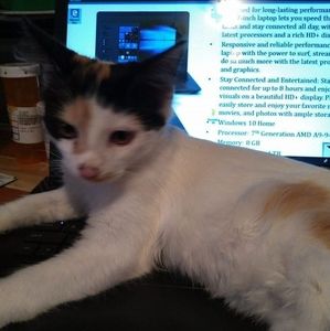 Meet your Posher, Angela